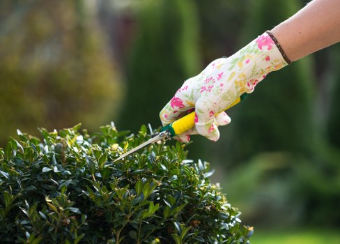 Gardener working in a Limehouse front garden with tools