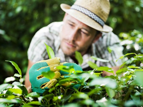 First aid kit and emergency responders at a garden maintenance site