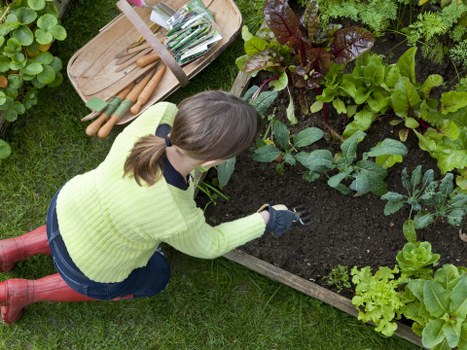 Gardener using adaptive equipment with clear labels and descriptions for Limehouse gardening services