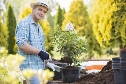 A man wearing a straw hat, light blue checkered shirt, and gardening gloves is working outdoors in a garden. He is handling a potted flowering shrub with white blossoms and green foliage, positioned on a wooden garden table or work surface. Surrounding him are gardening tools, empty plant pots, and a small pile of soil, indicating active planting or potting work. The garden features a lush, green background with tall trees and neatly trimmed hedges, creating a bright and inviting outdoor environment typical of landscaped back gardens in Limehouse. Natural sunlight illuminates the scene, highlighting the vibrant colours of the plants and the healthy, dense grass area in the foreground. The setting reflects a well-maintained outdoor space suitable for various gardening services such as planting, landscaping, and garden maintenance that are often provided by local specialists like Gardening Services Limehouse.