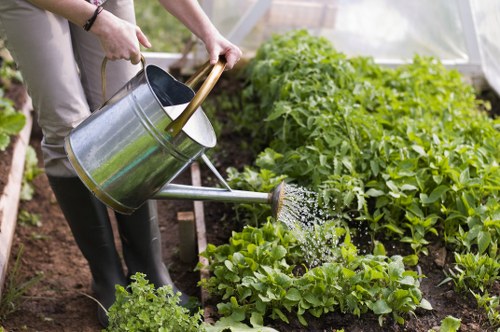 The image depicts a person watering a vegetable garden within a greenhouse or polytunnel in Limehouse. The gardener is pouring water from a metal watering can onto leafy green plants, which appear healthy and well-maintained. The garden bed is composed of dark, rich soil, with a variety of green crops growing in neat rows. In the background, there are larger, bushier plants or shrubs, possibly tomato plants or similar, supported by stakes or cages. The environment appears to be outdoors or in a controlled environment suitable for gardening services in Limehouse, with natural lighting indicating daytime. The setting emphasizes organized outdoor space management, relevant to professional gardening, landscape maintenance, and outdoor plant care services offered in the Limehouse area, contributing to a lush, productive garden landscape.