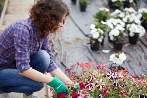 Beautiful garden in Limehouse showcasing professional gardening services